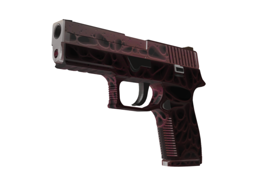 StatTrak™ P250 | Contaminant