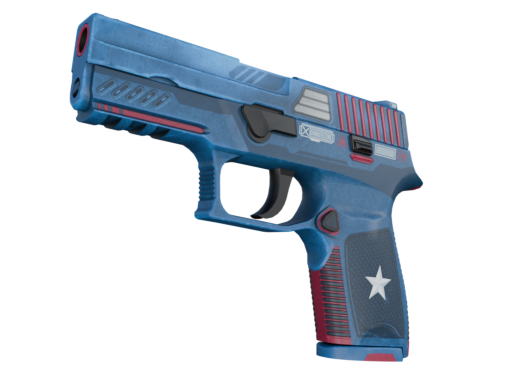 P250 | Top Gun