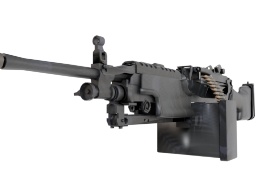 M249 | Midnight Palm