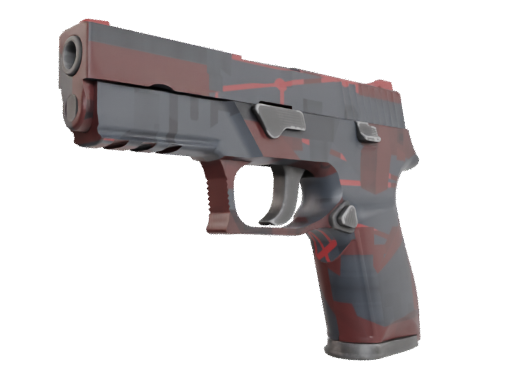 P250 | Constructivist