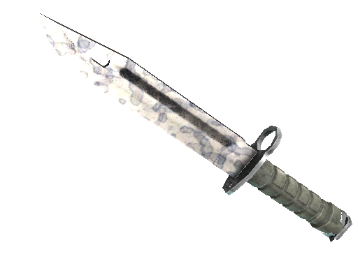 StatTrak™ ★ Bayonet | Stained