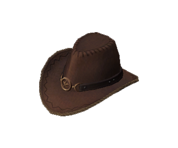 Cowboy Hat